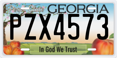 GA license plate PZX4573