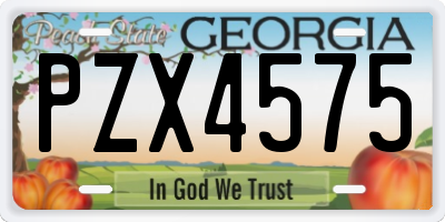 GA license plate PZX4575