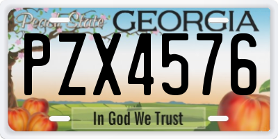 GA license plate PZX4576