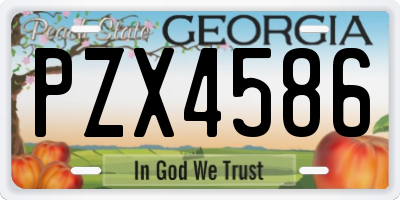 GA license plate PZX4586