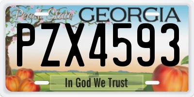 GA license plate PZX4593