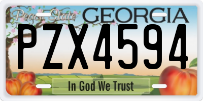 GA license plate PZX4594