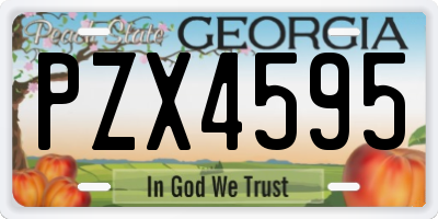 GA license plate PZX4595