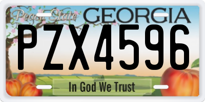 GA license plate PZX4596