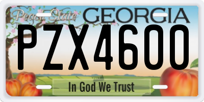 GA license plate PZX4600