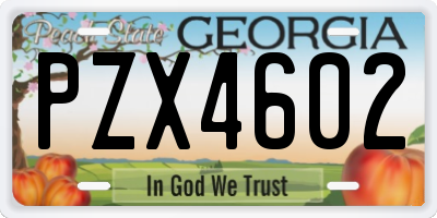 GA license plate PZX4602