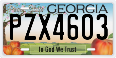 GA license plate PZX4603