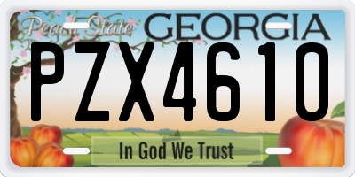 GA license plate PZX4610