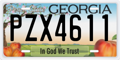 GA license plate PZX4611