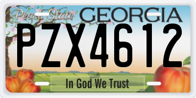 GA license plate PZX4612