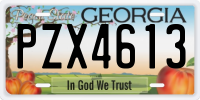 GA license plate PZX4613