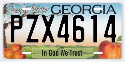 GA license plate PZX4614