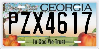 GA license plate PZX4617