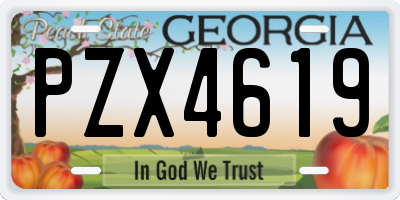 GA license plate PZX4619