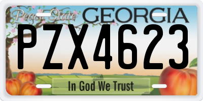 GA license plate PZX4623