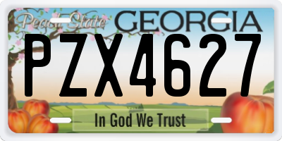 GA license plate PZX4627