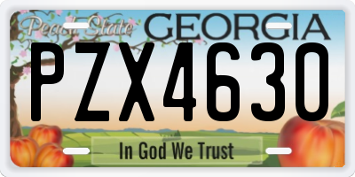 GA license plate PZX4630