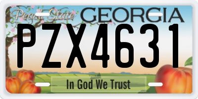 GA license plate PZX4631