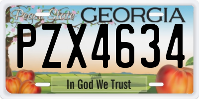 GA license plate PZX4634
