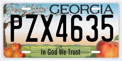 GA license plate PZX4635