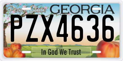 GA license plate PZX4636