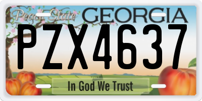 GA license plate PZX4637