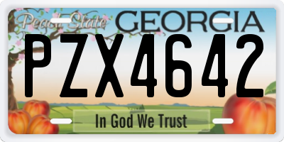 GA license plate PZX4642