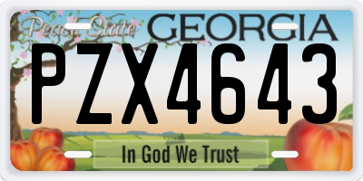GA license plate PZX4643
