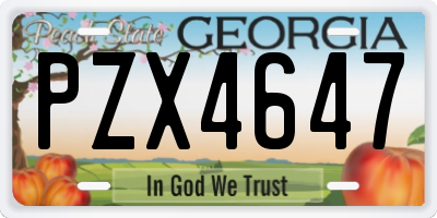 GA license plate PZX4647