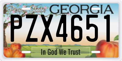 GA license plate PZX4651