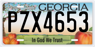 GA license plate PZX4653