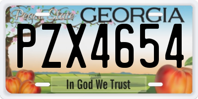 GA license plate PZX4654