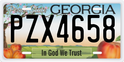 GA license plate PZX4658