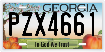 GA license plate PZX4661
