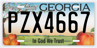 GA license plate PZX4667