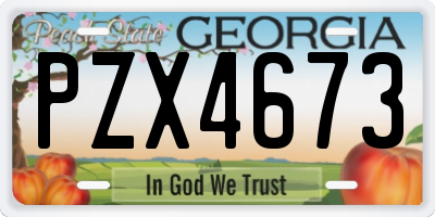 GA license plate PZX4673