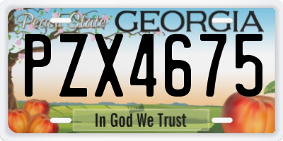 GA license plate PZX4675