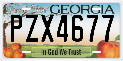 GA license plate PZX4677