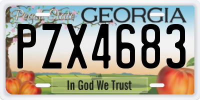 GA license plate PZX4683