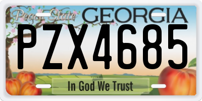 GA license plate PZX4685