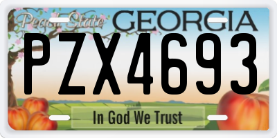 GA license plate PZX4693