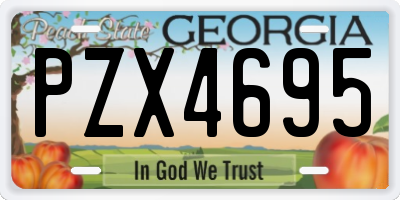 GA license plate PZX4695