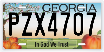 GA license plate PZX4707