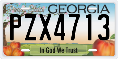GA license plate PZX4713
