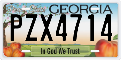 GA license plate PZX4714