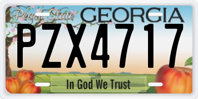 GA license plate PZX4717