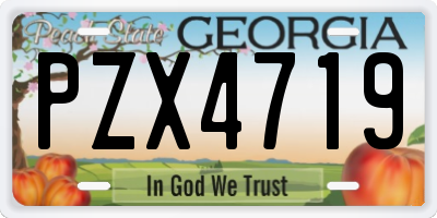 GA license plate PZX4719