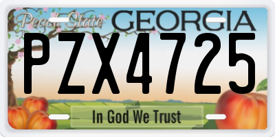 GA license plate PZX4725