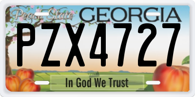 GA license plate PZX4727