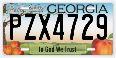GA license plate PZX4729